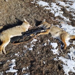 Meet your Posher, Tyrel